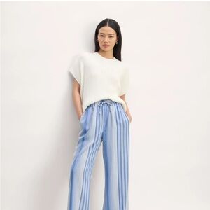 NWOT Everlane Blue and White Striped Wide Leg Pants